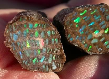 Conk Opals  Bonanza opal mine in Northern Nevada..jpg