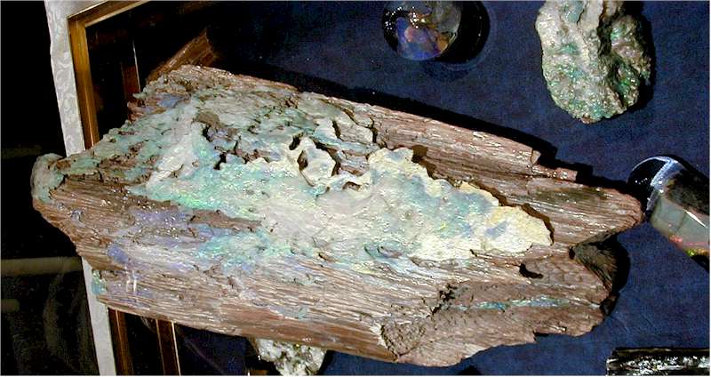 opalized-fossil-vv_wood.jpg