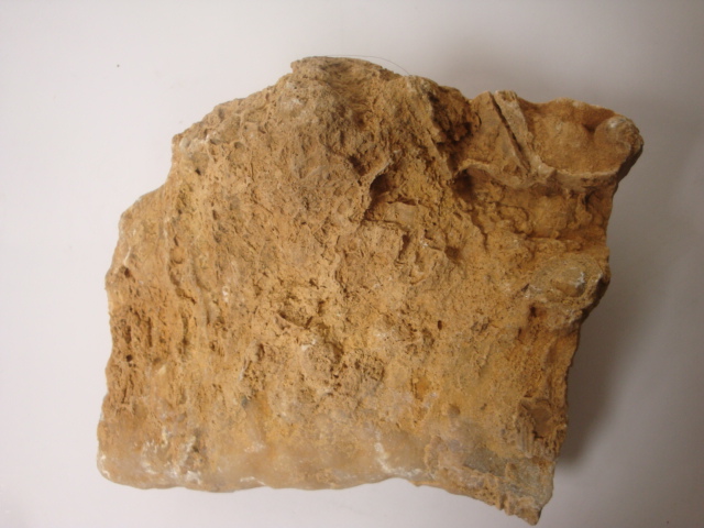 DSC07565.JPG