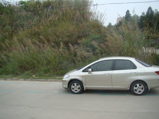 DSC00002.JPG