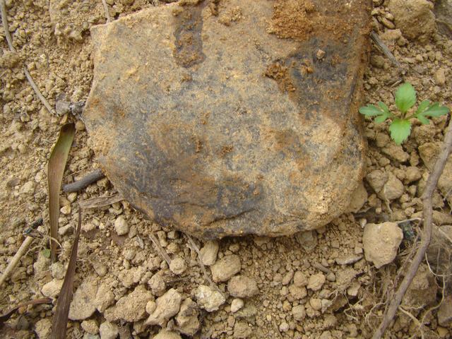 DSC00111.JPG