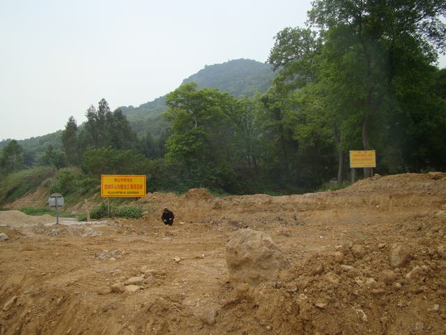 DSC00108.JPG