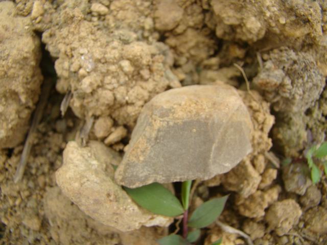 DSC00107.JPG
