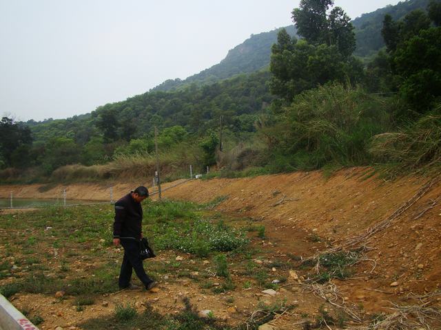 DSC00140.JPG