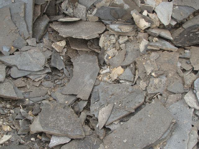 DSC00010.JPG