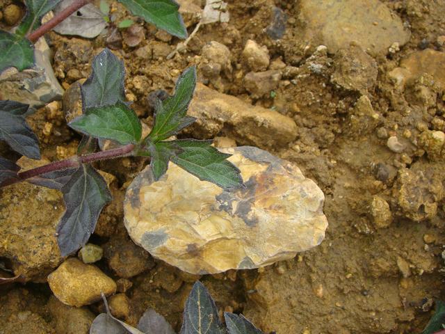 DSC00441.JPG