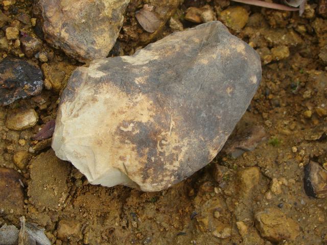 DSC00436.JPG