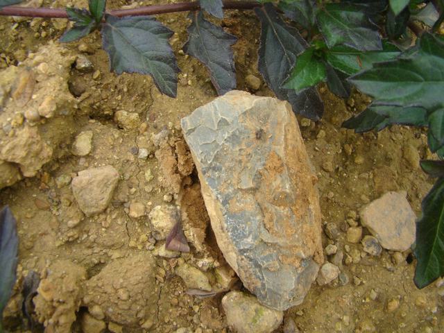 DSC00447.JPG