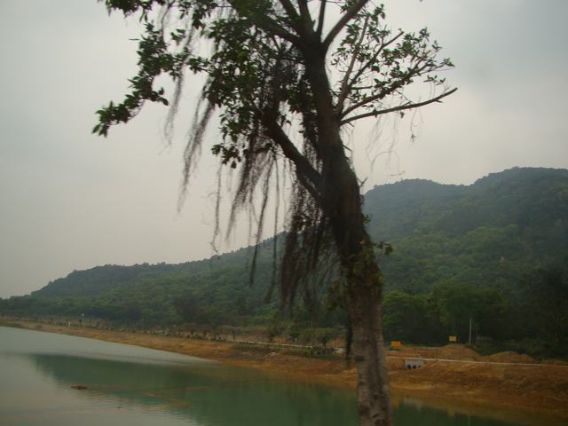 DSC00485.JPG
