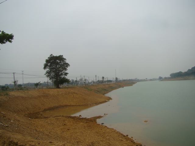 DSC00486.JPG