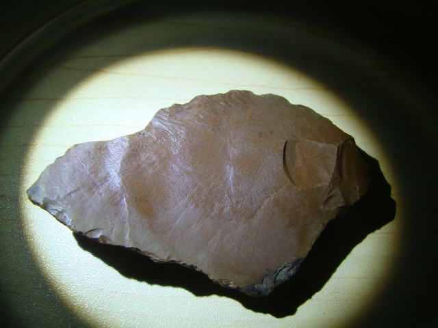 DSC00520.JPG