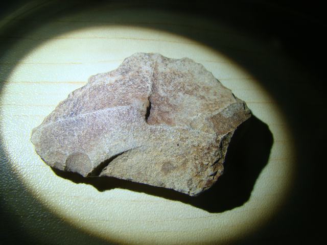 DSC00544.JPG
