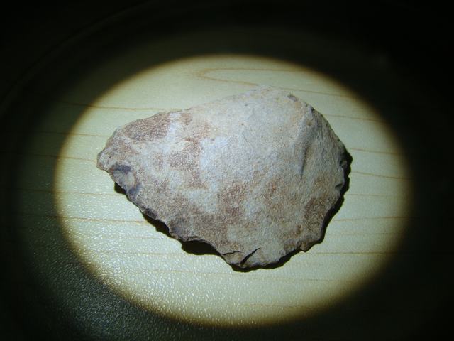 DSC00545.JPG