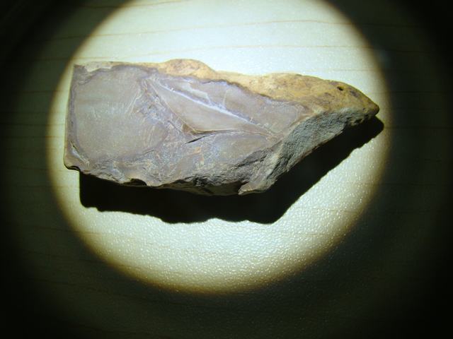 DSC00547.JPG
