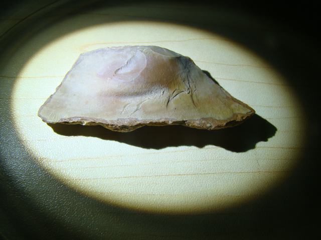 DSC00546.JPG