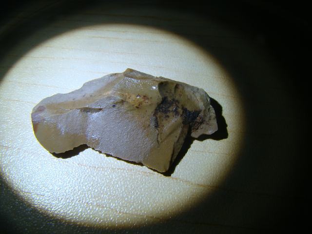 DSC00548.JPG