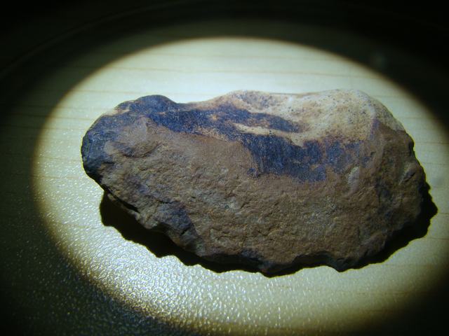DSC00538.JPG