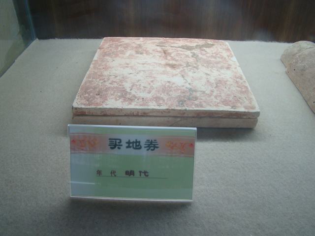 DSC00215.JPG
