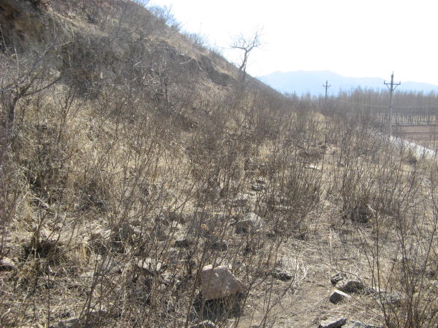 IMG_0555.jpg