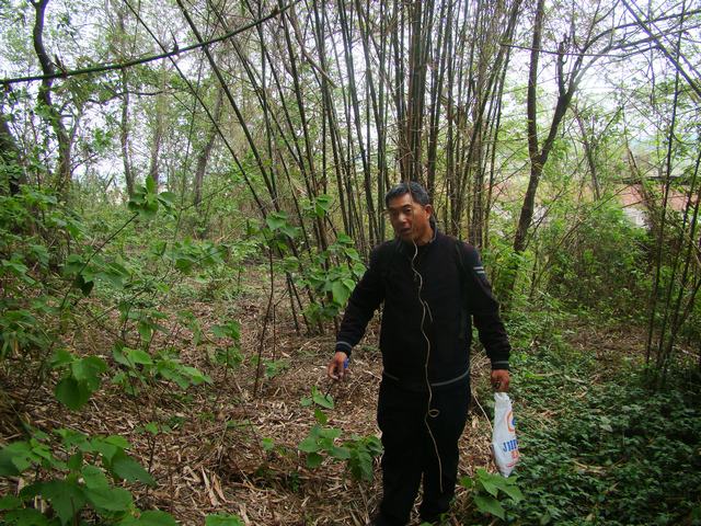 DSC00057.JPG