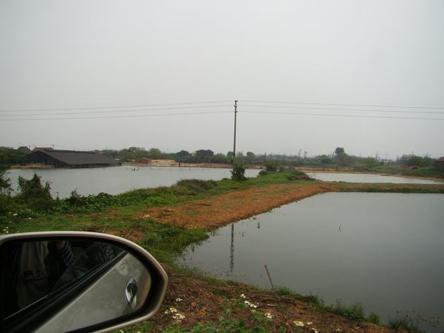 DSC00078.JPG