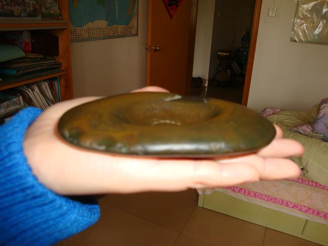DSC01529.JPG
