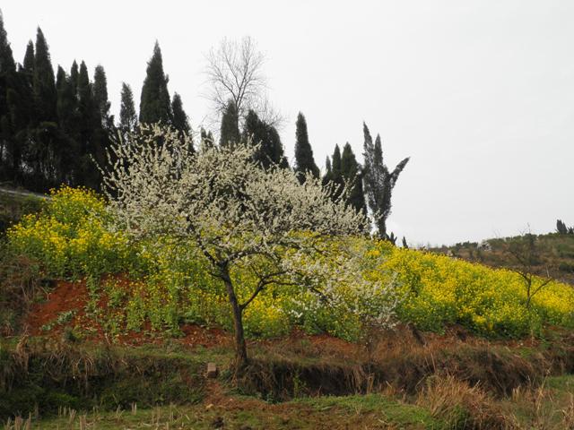 P3260369.JPG