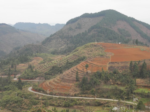 P3260335.JPG