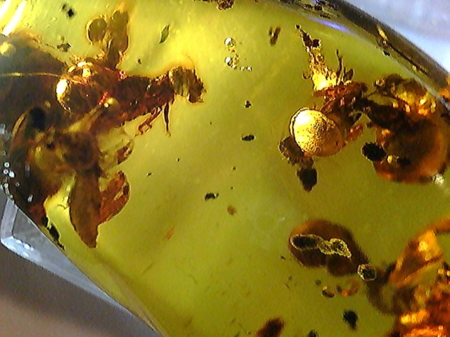 20110331053554.jpg