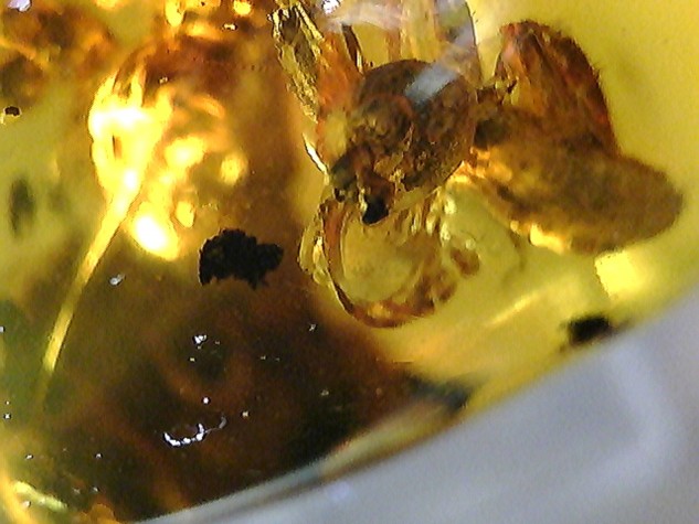 20110331052159.jpg
