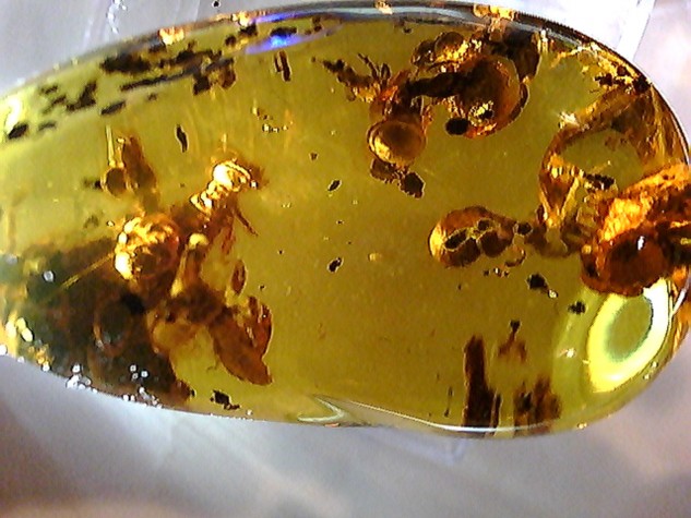 20110331053814.jpg