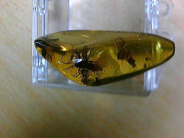 20110408201846.jpg