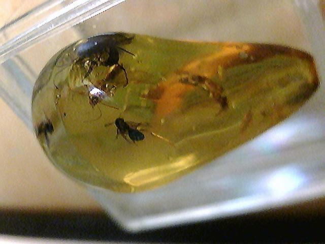 20110408202436.jpg