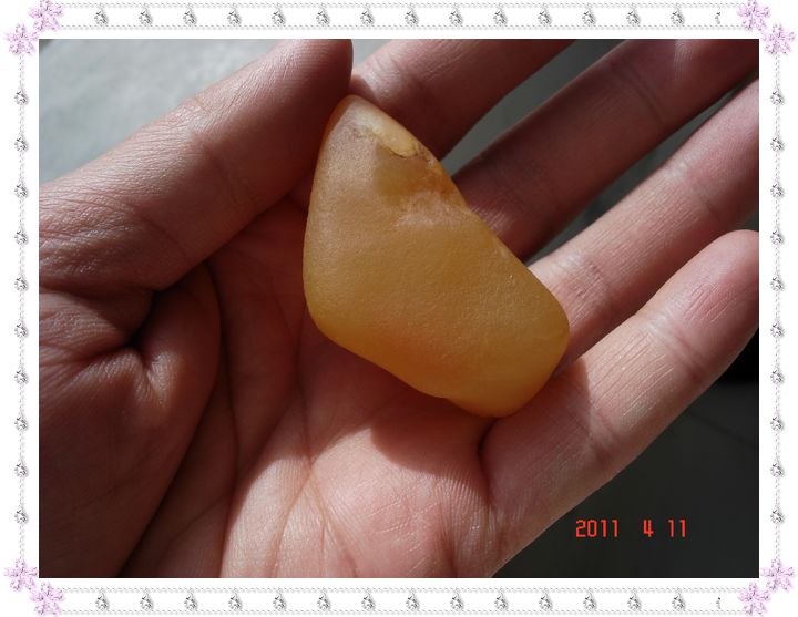 DSC08729.jpg