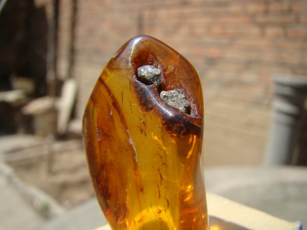 DSC01786.JPG