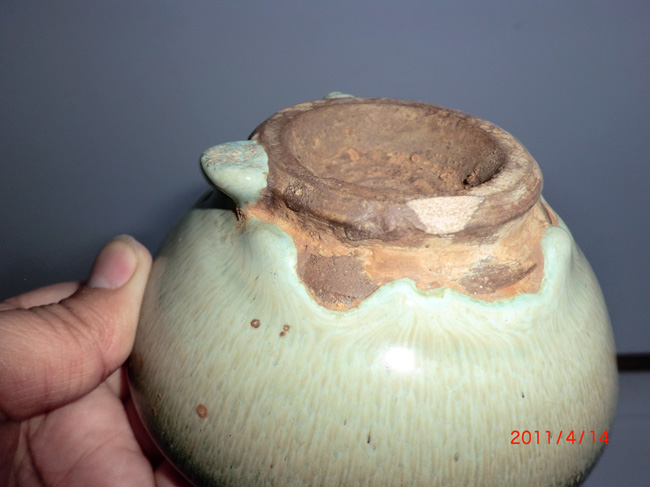 CIMG1119.jpg
