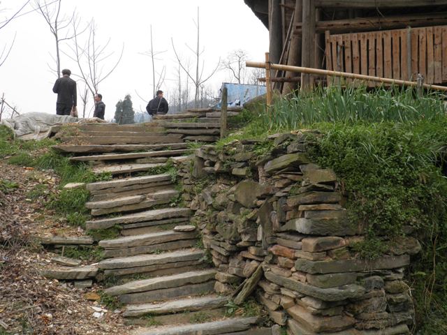 P3310362.JPG