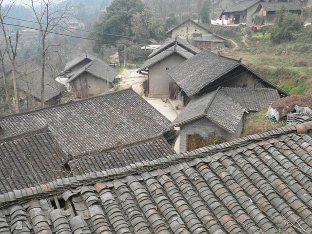 P3310369.JPG
