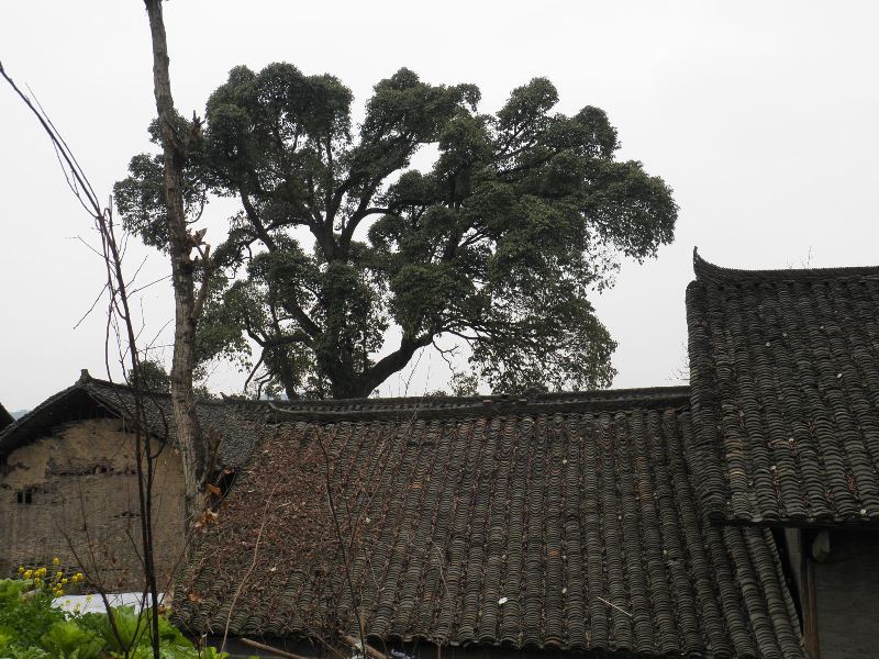 P3310375.JPG