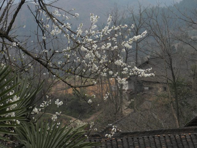 P3310370.JPG