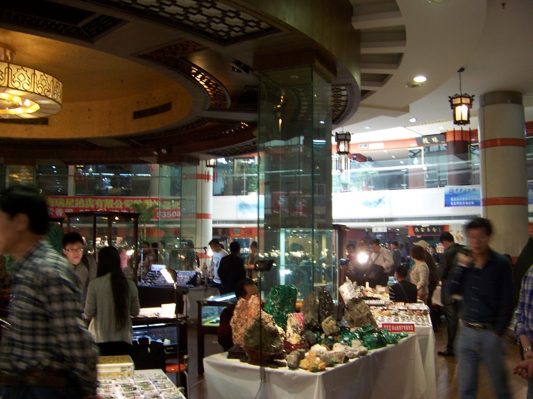 11-04标本E 007.jpg