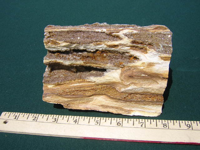 Clio Petrified Wood with Druzy Quartz Crystals#2.JPG