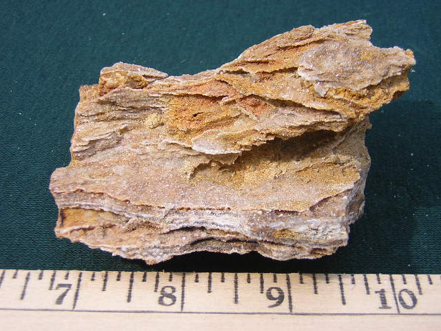 Clio Petrified Wood with Druzy Quartz Crystals.JPG