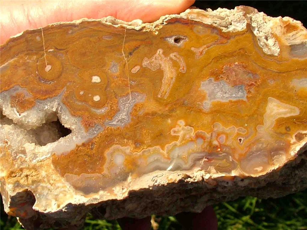 BROWN AGATE DRUZY QUARTZ PETRIFIED WOOD.jpg