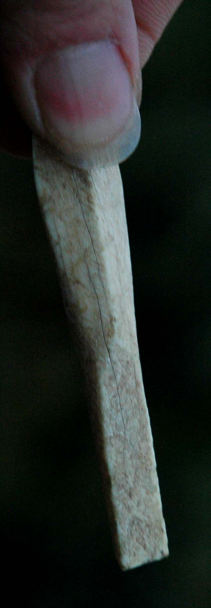 DSC_3559.JPG