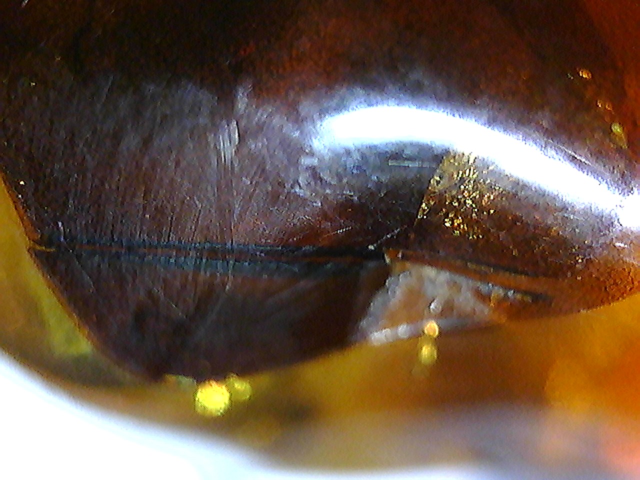 20110424195847.jpg
