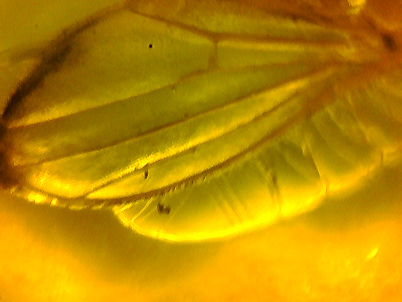 20020111122447.jpg