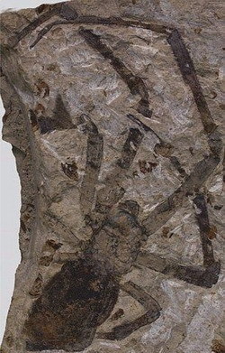 20110422143849175.jpg