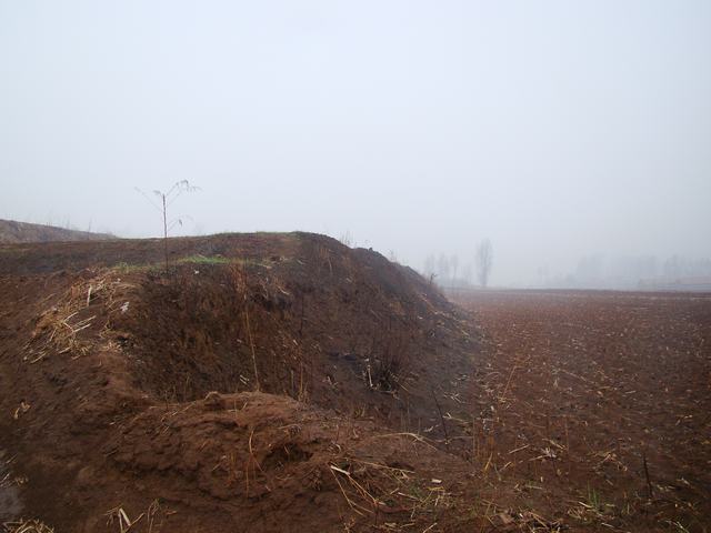 DSC02996.JPG