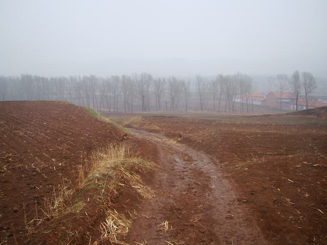 DSC03000.JPG